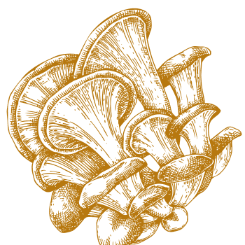 Μοναδική φυσική υποστήριξη για την ενδυνάμωση του σώματος και του νου