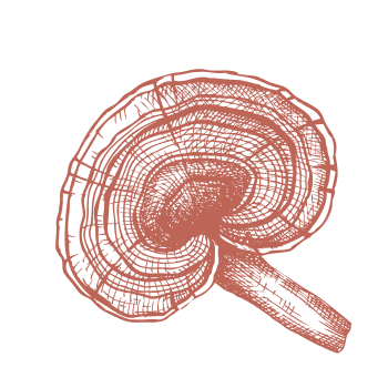 Για την ενίσχυση του ανοσοποιητικού συστήματος, γυρίστε πίσω στη φύση