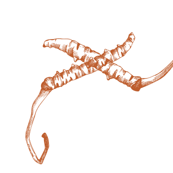 Βελτιώστε τη ζωτικότητά σας