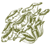 Φροντίστε το σώμα σας με τα δώρα που προσφέρει η φύση.