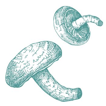 Χιλιάδες χρόνια παράδοσης για την υποστήριξη του σώματος