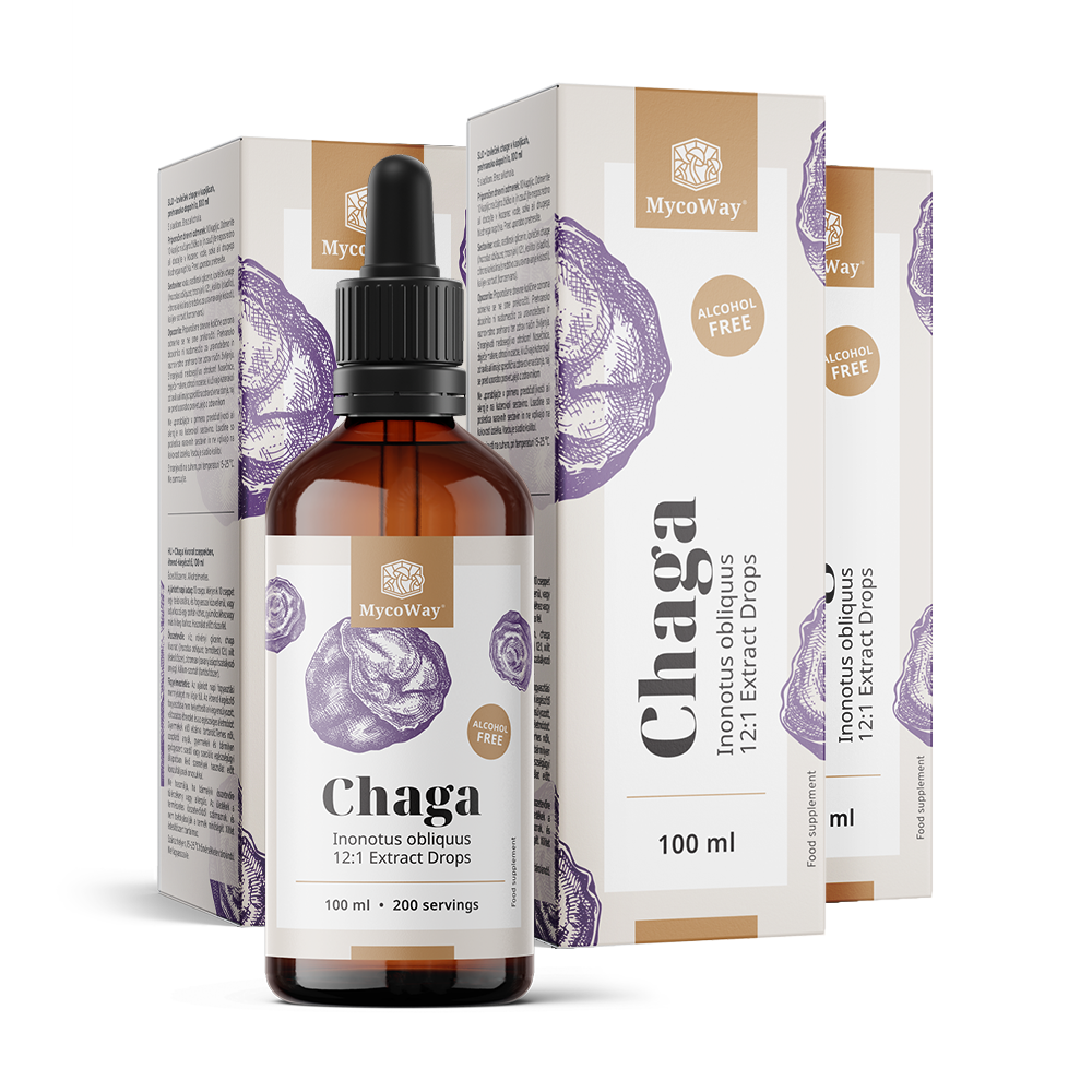 Chaga – εκχύλισμα σε σταγόνες